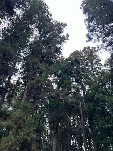 大宮温泉神社(栃木県)