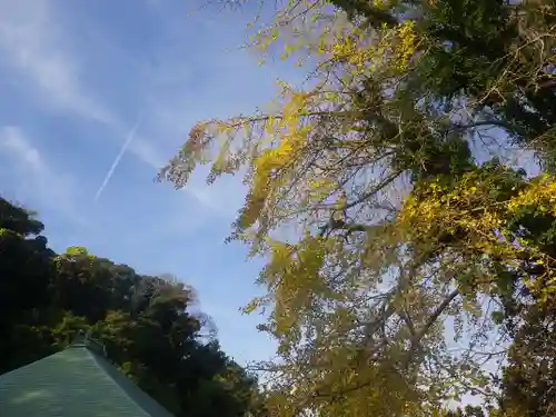 長勝寺の景色