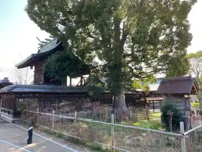 柳澤神社(奈良県)
