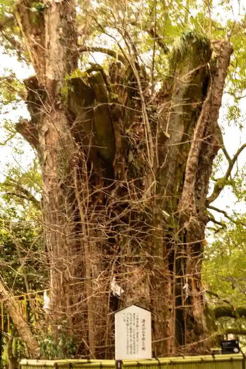 加藤神社(熊本県)