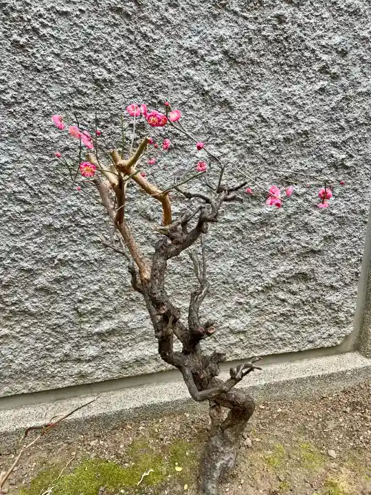 正洞院の{uncategorized: "未分類", other: "その他", undefined: "問題あり", building: "その他建物", grave: "お墓", sacred_gate: "鳥居", guardian: "狛犬", statue: "像", buddha: "仏像", history: "歴史", nature: "自然", garden: "庭園", animal: "動物", pagoda: "塔", temizu: "手水舎", mountain_gate: "山門・神門", sanctuary: "本殿・本堂", subordinate: "末社・摂社", art: "芸術", scenery: "景色", jizo: "地蔵", ema: "絵馬", goshuin: "御朱印", omikuji: "おみくじ", items: "授与品その他", amulet: "お守り", goshuincho: "御朱印帳", eats: "食事", festival: "お祭り", votive_dance: "神楽", shichigosan: "七五三参", wedding: "結婚式", experience: "体験その他", initially: "初詣", around: "周辺", anti_infection: "感染症対策"}