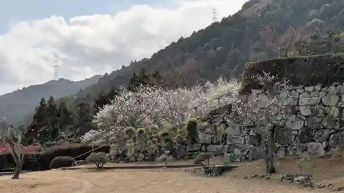 泰門庵(滋賀県)