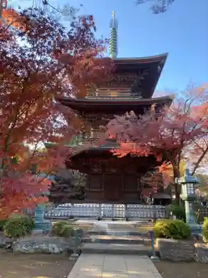豪徳寺(東京都)