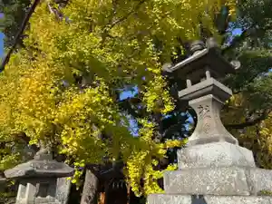 美奈宜神社(福岡県)(2024年12月06日(金) 12時07分13秒投稿)