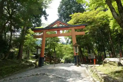 日吉大社の鳥居