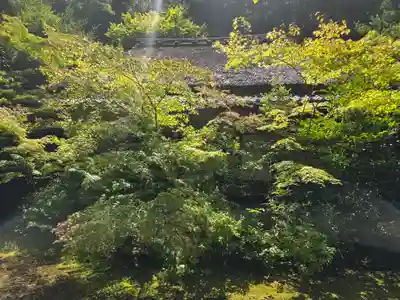 滝口寺(京都府)