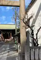 櫻木神社(東京都)