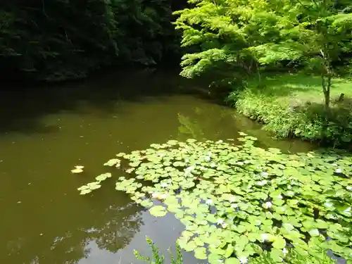 小松寺の庭園