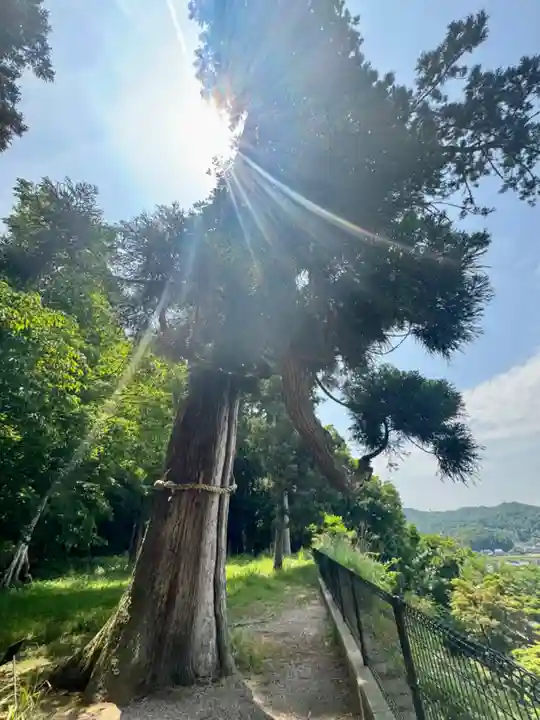 有子山稲荷神社(兵庫県)