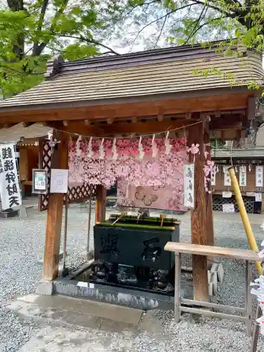 川越熊野神社の{uncategorized: "未分類", other: "その他", undefined: "問題あり", building: "その他建物", grave: "お墓", sacred_gate: "鳥居", guardian: "狛犬", statue: "像", buddha: "仏像", history: "歴史", nature: "自然", garden: "庭園", animal: "動物", pagoda: "塔", temizu: "手水舎", mountain_gate: "山門・神門", sanctuary: "本殿・本堂", subordinate: "末社・摂社", art: "芸術", scenery: "景色", jizo: "地蔵", ema: "絵馬", goshuin: "御朱印", omikuji: "おみくじ", items: "授与品その他", amulet: "お守り", goshuincho: "御朱印帳", eats: "食事", festival: "お祭り", votive_dance: "神楽", shichigosan: "七五三参", wedding: "結婚式", experience: "体験その他", initially: "初詣", around: "周辺", anti_infection: "感染症対策"}