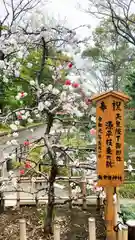 和樂備神社の庭園