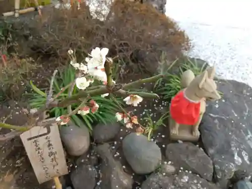 東京羽田 穴守稲荷神社の狛犬