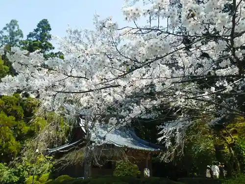 醍醐寺(京都府)