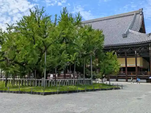 本願寺（西本願寺）の{uncategorized: "未分類", other: "その他", undefined: "問題あり", building: "その他建物", grave: "お墓", sacred_gate: "鳥居", guardian: "狛犬", statue: "像", buddha: "仏像", history: "歴史", nature: "自然", garden: "庭園", animal: "動物", pagoda: "塔", temizu: "手水舎", mountain_gate: "山門・神門", sanctuary: "本殿・本堂", subordinate: "末社・摂社", art: "芸術", scenery: "景色", jizo: "地蔵", ema: "絵馬", goshuin: "御朱印", omikuji: "おみくじ", items: "授与品その他", amulet: "お守り", goshuincho: "御朱印帳", eats: "食事", festival: "お祭り", votive_dance: "神楽", shichigosan: "七五三参", wedding: "結婚式", experience: "体験その他", initially: "初詣", around: "周辺", anti_infection: "感染症対策"}