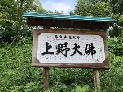 上野大佛(東京都)