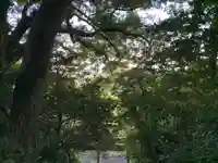 浅間神社の自然