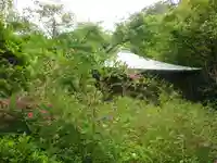 浄光明寺の自然