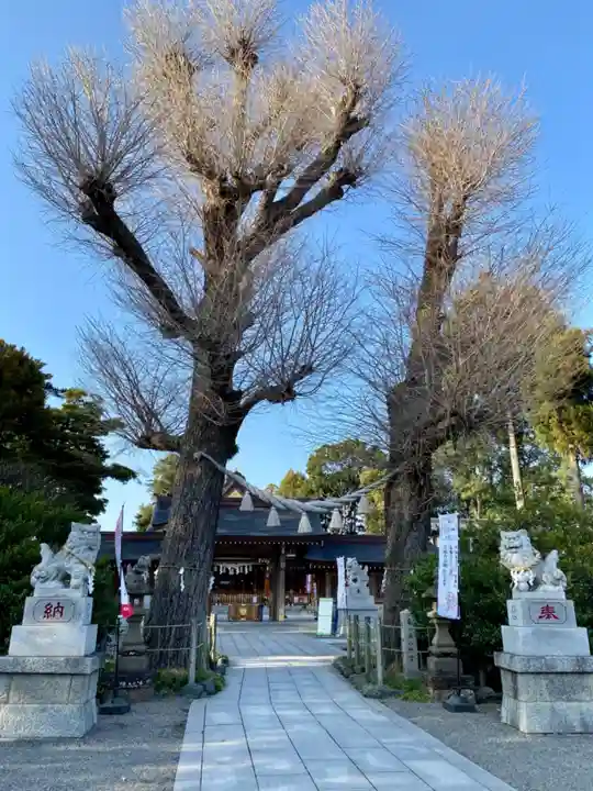亀ケ池八幡宮の自然
