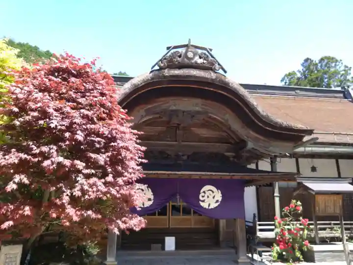 大圓院の{uncategorized: "未分類", other: "その他", undefined: "問題あり", building: "その他建物", grave: "お墓", sacred_gate: "鳥居", guardian: "狛犬", statue: "像", buddha: "仏像", history: "歴史", nature: "自然", garden: "庭園", animal: "動物", pagoda: "塔", temizu: "手水舎", mountain_gate: "山門・神門", sanctuary: "本殿・本堂", subordinate: "末社・摂社", art: "芸術", scenery: "景色", jizo: "地蔵", ema: "絵馬", goshuin: "御朱印", omikuji: "おみくじ", items: "授与品その他", amulet: "お守り", goshuincho: "御朱印帳", eats: "食事", festival: "お祭り", votive_dance: "神楽", shichigosan: "七五三参", wedding: "結婚式", experience: "体験その他", initially: "初詣", around: "周辺", anti_infection: "感染症対策"}