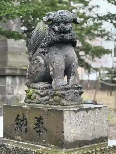 新琴似神社の狛犬