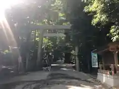 椿大神社の鳥居