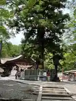 諏訪大社下社秋宮の自然