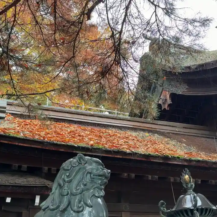 長浜八幡宮(滋賀県)