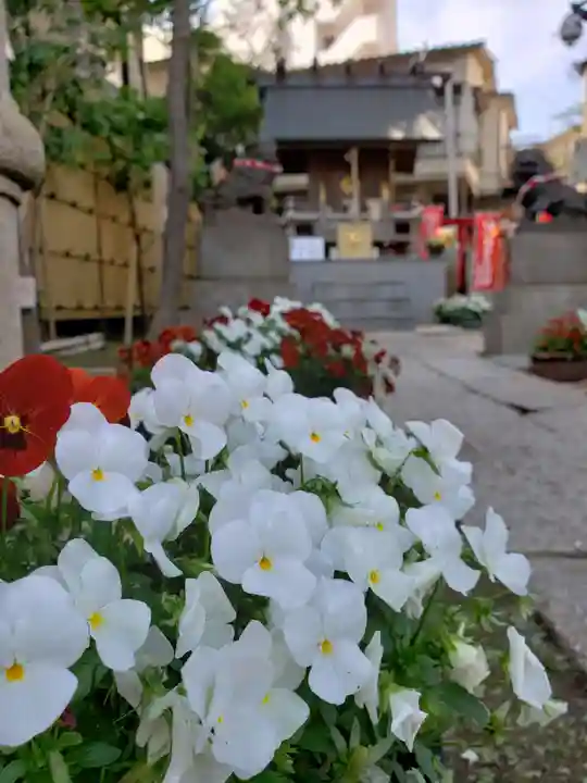 高円寺氷川神社(東京都)