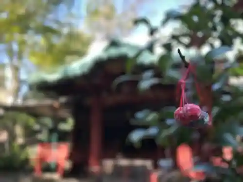 赤坂氷川神社(東京都)