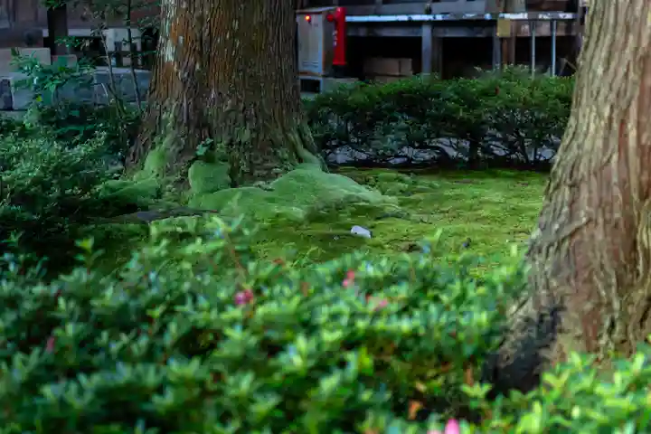 白山比咩神社(石川県)