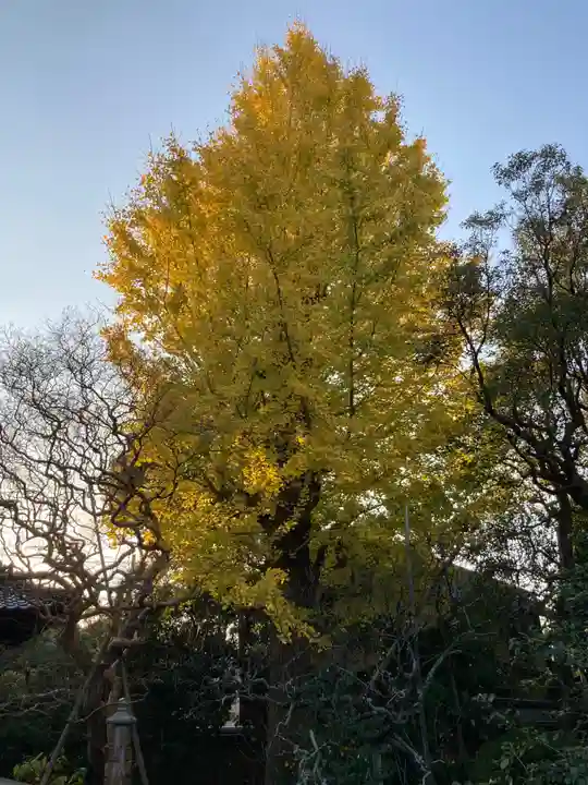 宝戒寺(神奈川県)
