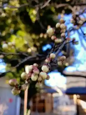 新井天神北野神社(東京都)