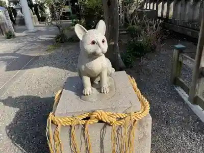 阿豆佐味天神社 立川水天宮(東京都)