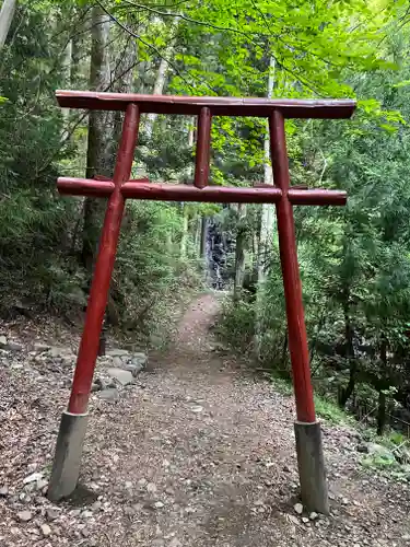 母の白滝神社の鳥居