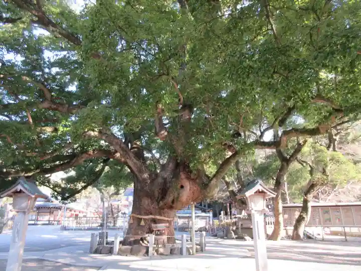 大麻比古神社(徳島県)