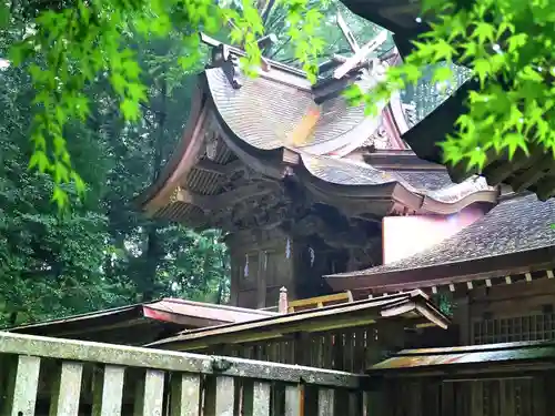 倭文神社の本殿