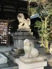 岡崎神社の狛犬