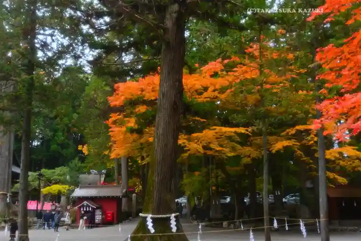 北口本宮冨士浅間神社(山梨県)