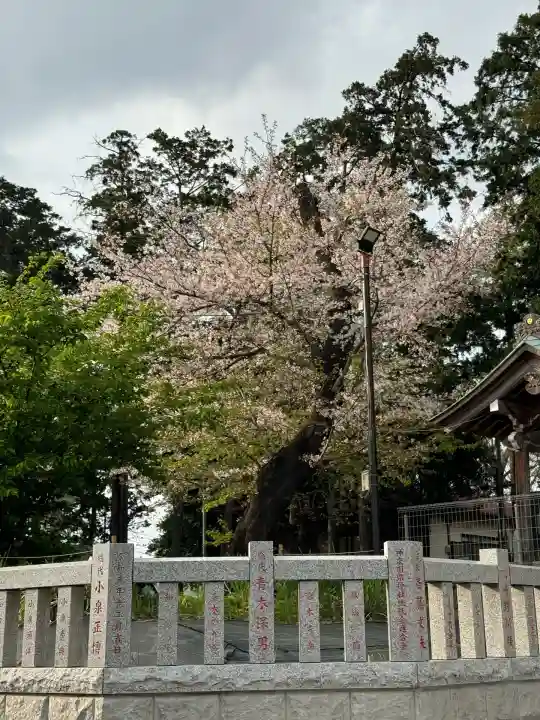 野川神明社(神奈川県)