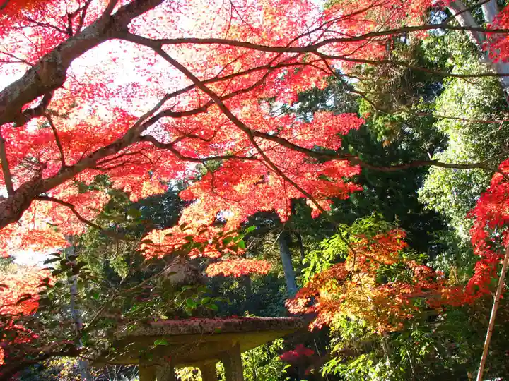安養寺のその他建物