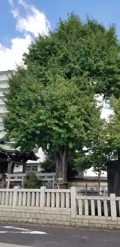 綾瀬神社のその他建物