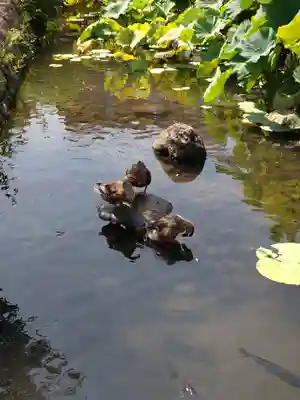 青井阿蘇神社(熊本県)