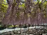 白旗神社(神奈川県)