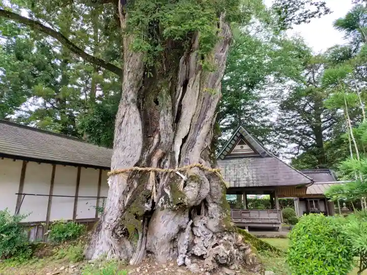 天引八幡神社(京都府)