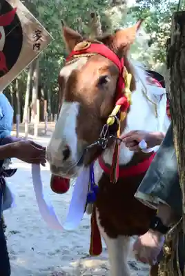 出雲伊波比神社(埼玉県)