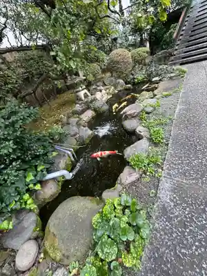 正念寺(東京都)