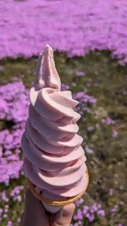 山津見神社の食事