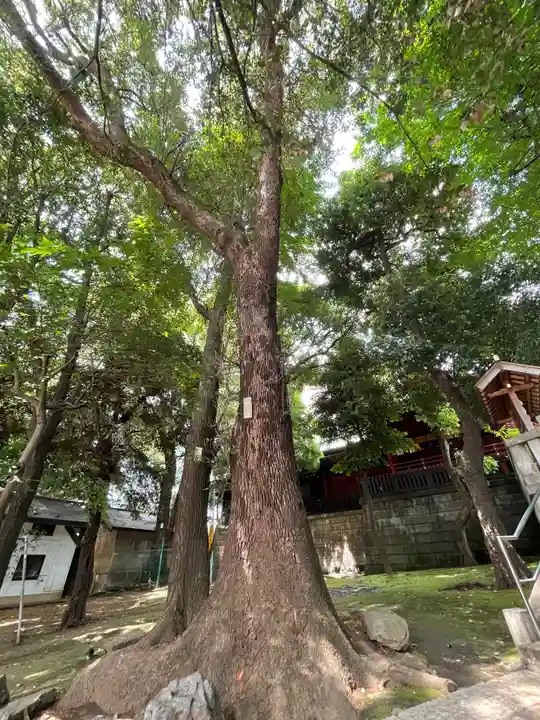 金王八幡宮(東京都)