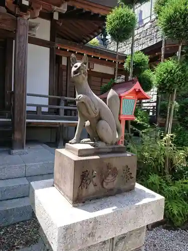 光妙寺の狛犬