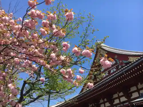 浅草寺の芸術